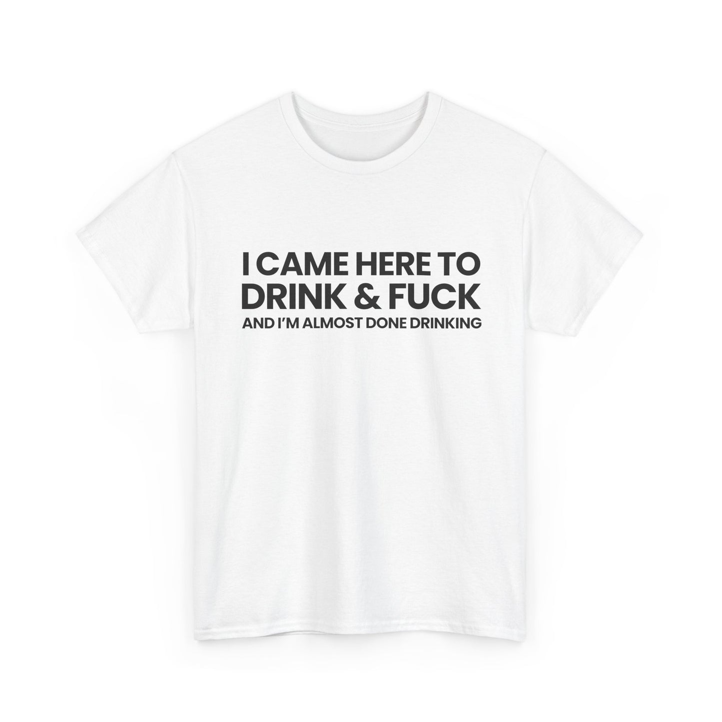 I came here to drink & fuck | T-Shirt