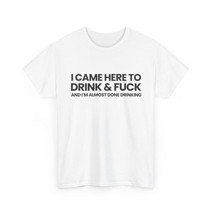 I came here to drink & fuck | T-Shirt