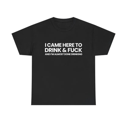 I came here to drink & fuck | T-Shirt