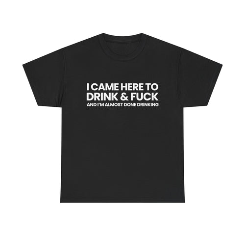 I came here to drink & fuck | T-Shirt
