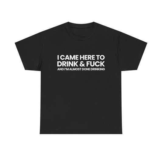 I came here to drink & fuck | T-Shirt