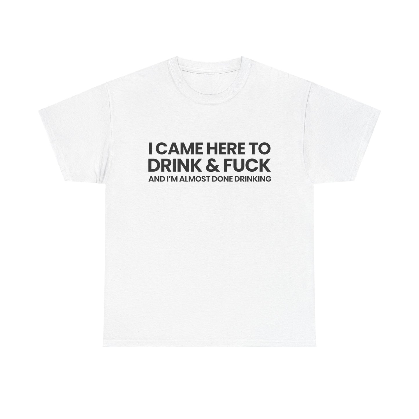 I came here to drink & fuck | T-Shirt