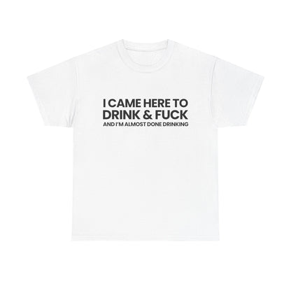 I came here to drink & fuck | T-Shirt